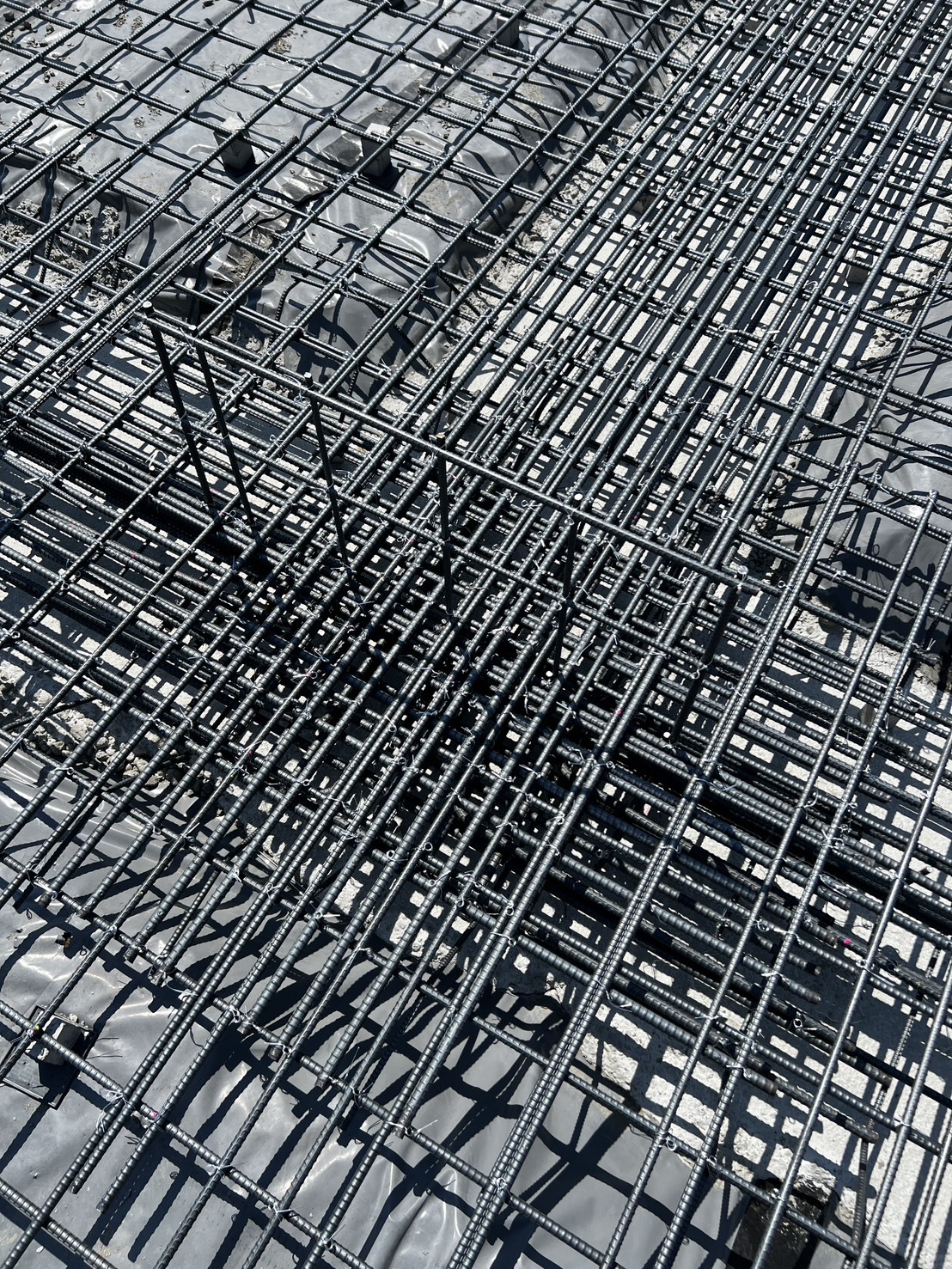 S__101580803_0
