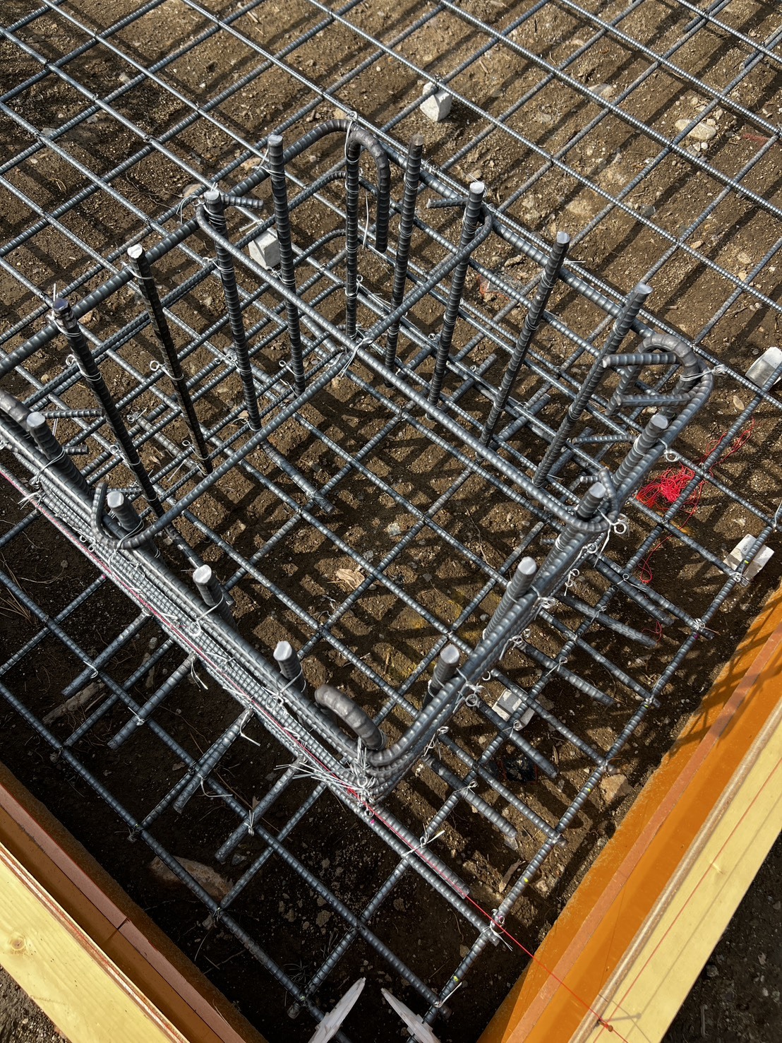 S__104448004_0